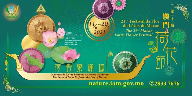 澳门的市花是什么，澳门的市花是什么名字（二十一届澳门荷花节体验这个莲花宝地）