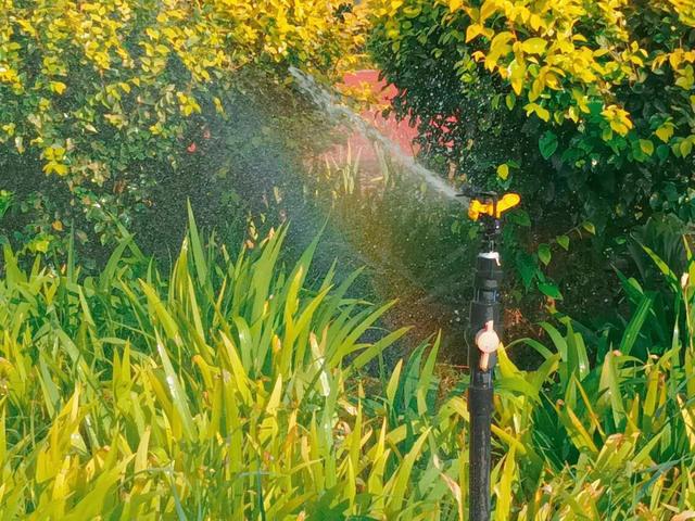 语文阅读答题技巧，语文阅读理解答题技巧（作文阅读理解的技巧和方法）