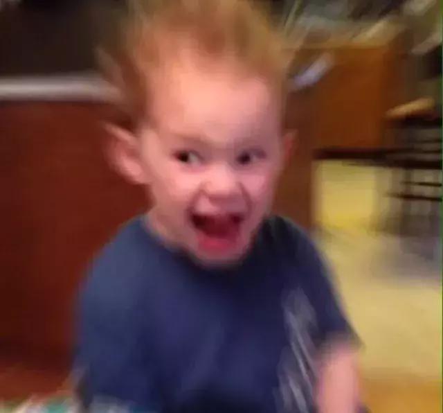 权律二呆萌搞怪可爱图片，权律二头像可爱搞怪（谢飞机、小刚几、权律二…长期霸屏的网红表情包们长大了...）