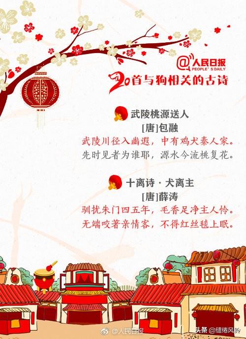 带鸟名的诗句，带鸟名的诗句飞花令（《人民日报》推荐20首与狗相关的古诗）