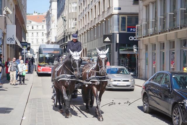 维也纳在哪个国家，维也纳在哪个国家家（实拍奥地利首都维也纳）