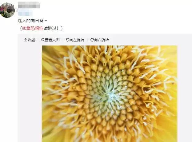 莲蓬乳是怎么形成的，莲蓬乳是啥（你可能并没有密集恐惧症）