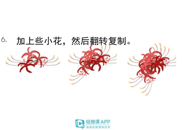 彼岸花怎么画，彼岸花怎么画素描（详细画彼岸花图解）