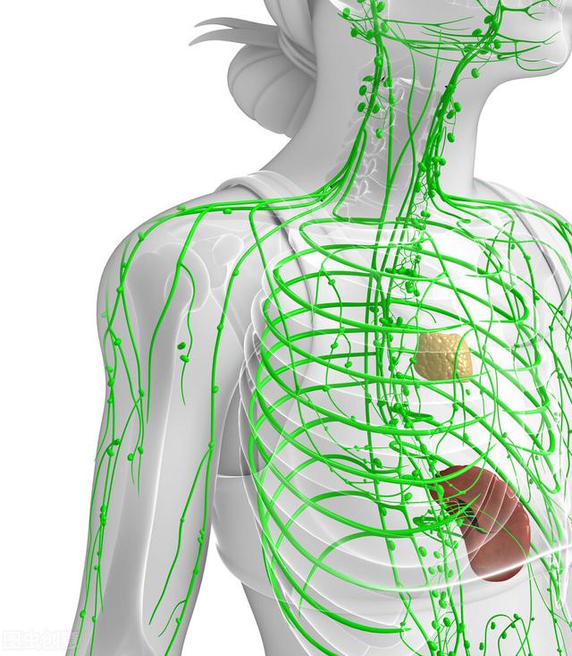 胸腔积水怎么治疗，胸腔积液怎么办（胸腔积液的治疗方法）