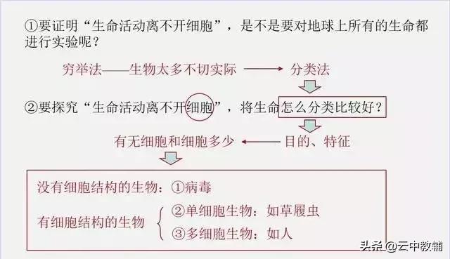 大肠杆菌菌落特征，大肠杆菌培养（一位高中生物老师分享对生物的理解）