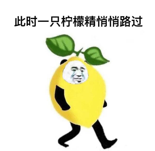 安岳石刻与玄应的由来，安岳石刻历史（这里是安岳）
