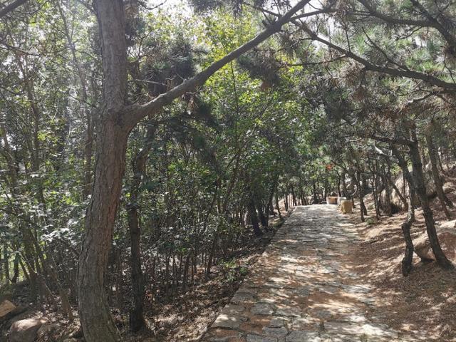 鹤山市属于哪个省哪个地区，鹤山哪里的（北有山东青岛以“石奇”而闻名的鹤山风景区）