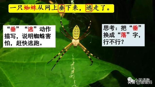 形容闪电的词语，描写闪电的四字词语（二年级下册语文课文16《雷雨》图文详解及同步练习）