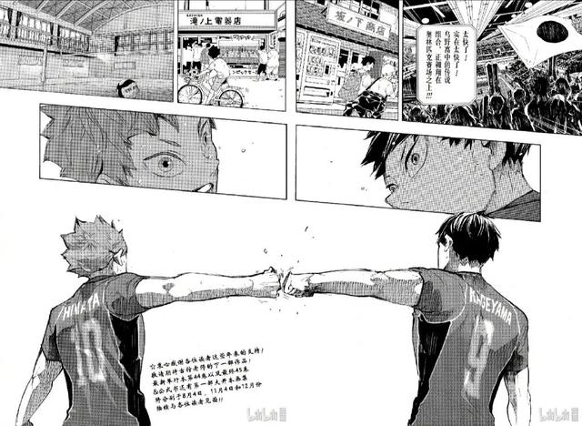 排球少年阵容介绍，《排球少年》最后什么结局