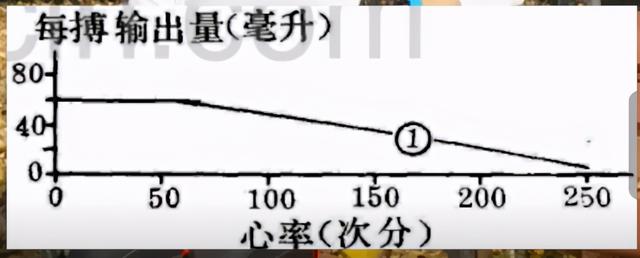 运动心率180危险吗，心率180危险吗（跑步锻炼15年）