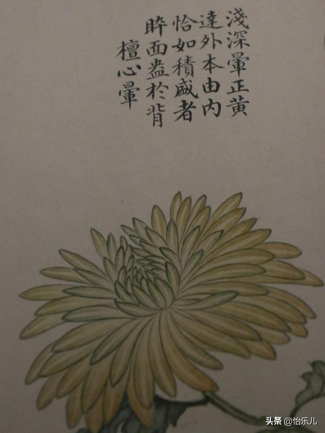 葩的读音（葩怎么读，葩是什么意思（金佛座、搓粉妆、绶带紫、鹤头丹）