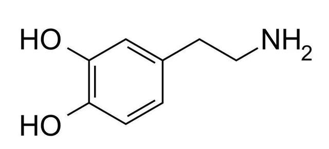 多巴胺是什麼意思,多巴胺是什麼意思?