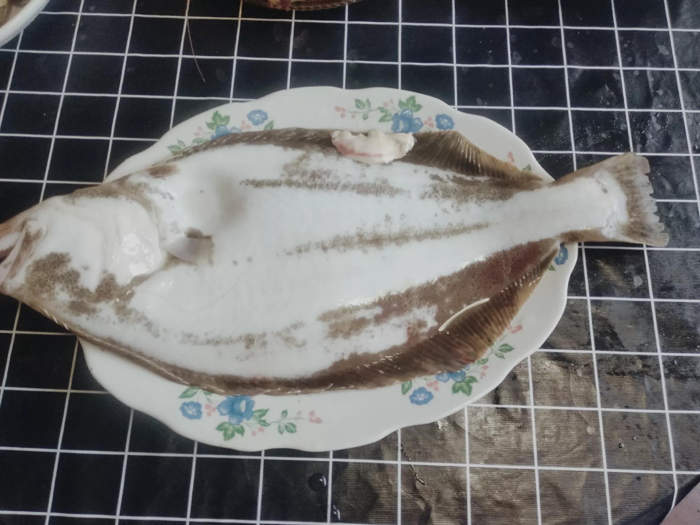 鳎目鱼(1鮃2镜3鳎目)