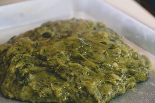 水菊(水菊草),吃一口黄花粑粑你就知道了(菊水是什么) 水菊(水菊草),吃一口黄花粑粑你就知道了(菊水是什么)