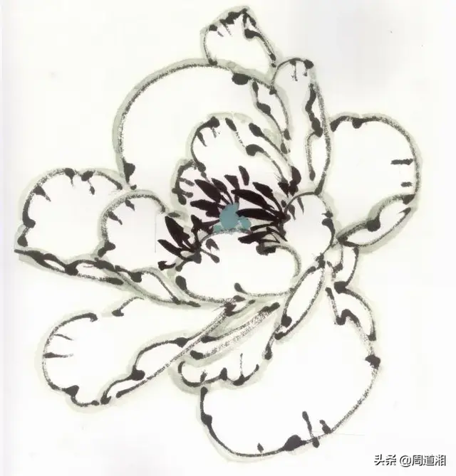 牡丹花头的画法对照表，写意牡丹花头的各种画法