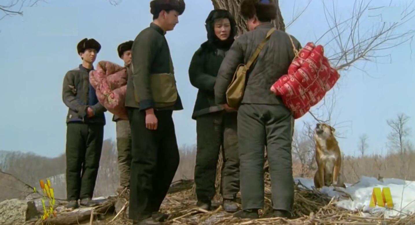 电影《九香》,一部讲述母爱非常成功的电影,却很少有人知道