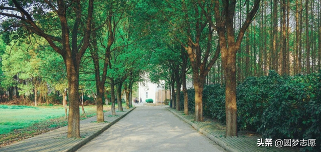 武汉晴川学院是几本，武汉晴川学院的专业（2020湖北最好的八所大专院校-附含专科的本科院校名单）