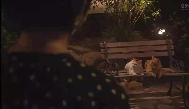 太刺激了叭，这也忒刺激了（这操作可太刺激了图片）