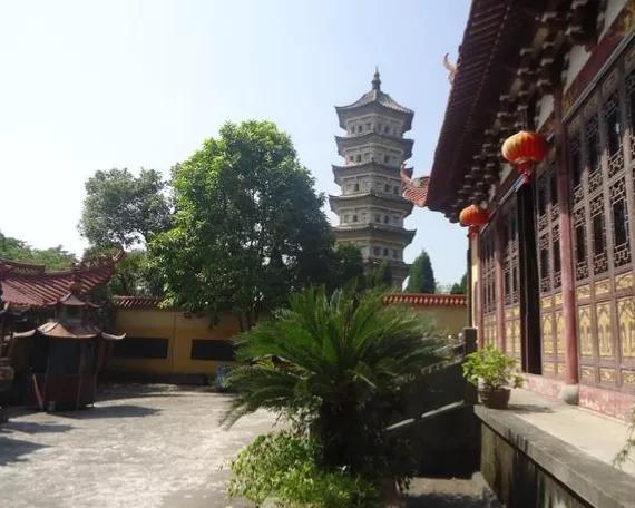 乐清市属于哪个省份，乐清是哪个省的城市（亿万老家人”浙江省—温州市—乐清市）