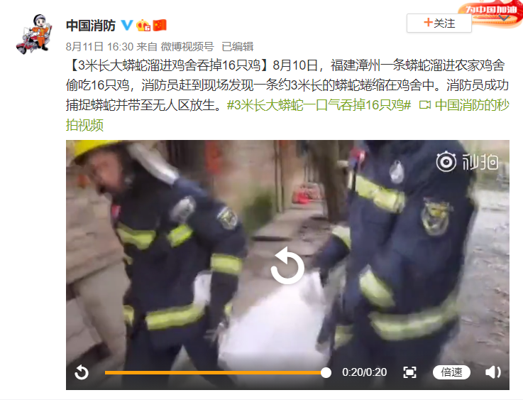 惊现万米巨蛇横空出世！神话级生物现身引全球热议，究竟是真是假？