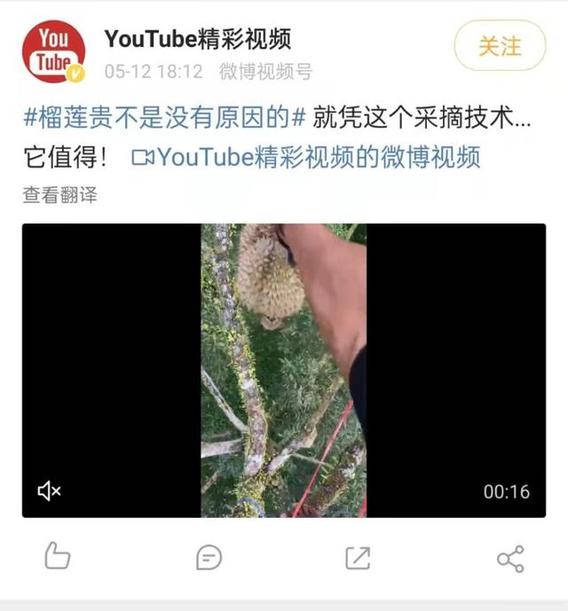 榴莲硬邦邦的是没有熟吗，榴莲硬邦邦的是坏果还是没成熟（关于榴莲里没有榴莲这件事）