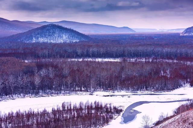 雪景的诗句，描写冬天雪景的句子（你就不知道雪有多美）