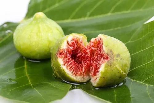 无花果的花在哪里，无花果有花吗（无花果的品种哪种好）