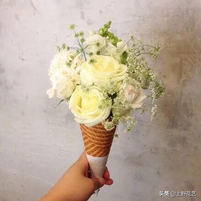 蕾丝花花语是什么，蕾丝花花语（亲眼所见的温柔惹人怜爱）