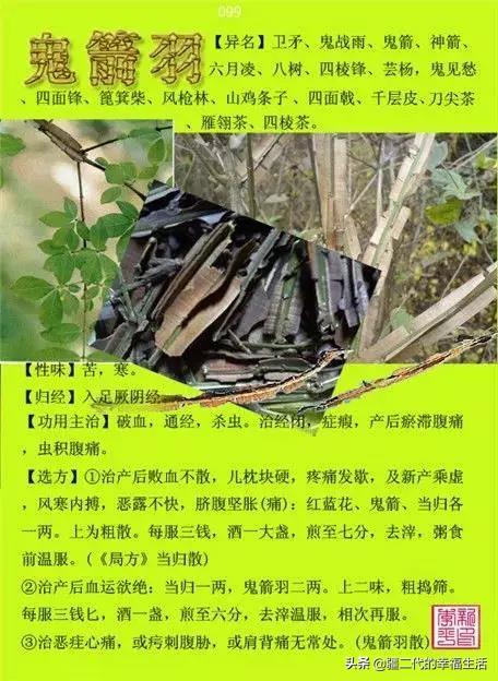 常见中草药图谱，中草药经典图谱（让你知道常用药都长啥样）