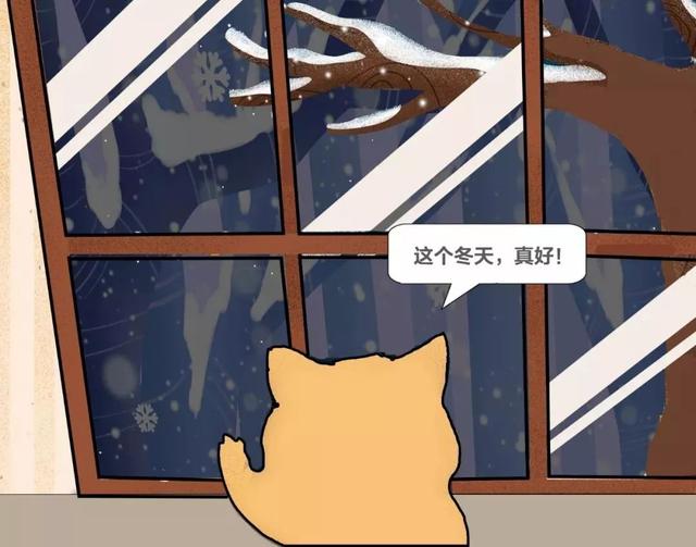 如何做一个定制猫窝，如何制作一个猫窝（看百度工程师研发的流浪猫智能猫窝）