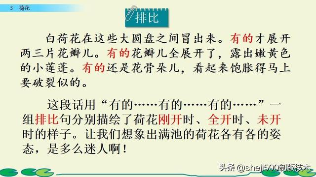 莲蓬的蓬是不是读轻声，莲蓬的蓬为什么读轻声（部编版语文三年级下册第3课《荷花》图文讲解）