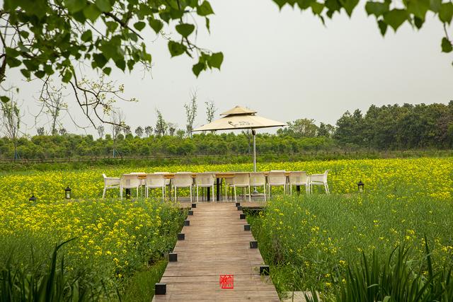 蜀山的具体位置在哪啊，蜀山位于哪里（徜徉在春色染透的田园风光里）