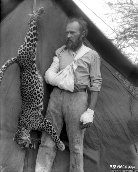 手不释卷的动物，手足之情的动物是什么生肖（世传王安石是獾转世投胎）