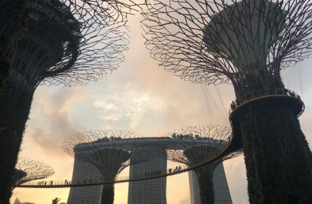 新加坡旅游多少钱(如何移民新加坡)