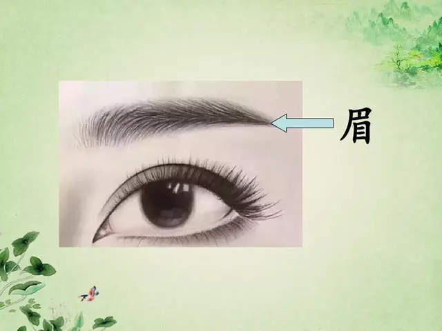 据说的近义词是什么，含有近义词的四字词语（部编版一年级下册《语文园地四》知识点+图文讲解）