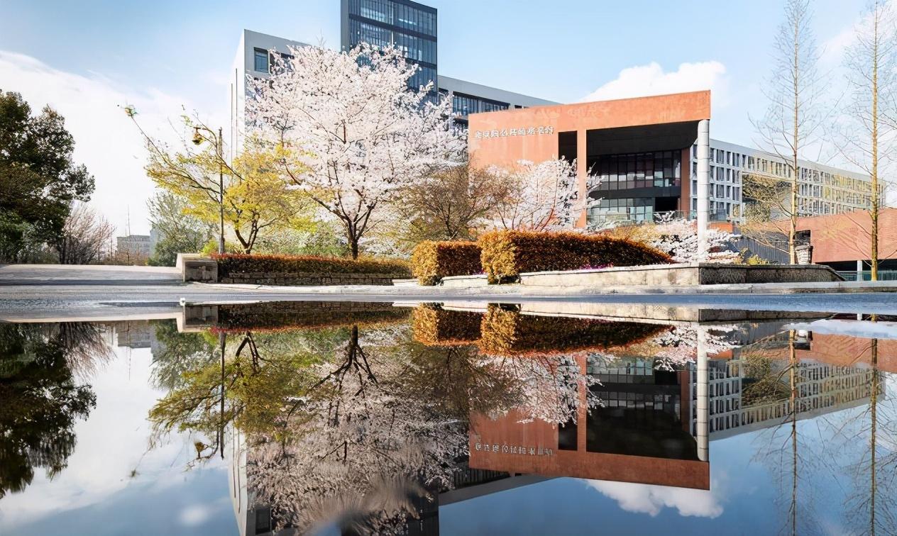 浙江贸易经济学校（浙江这4所大学）