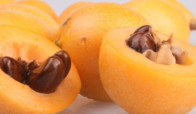 枇杷种子怎么育苗，枇杷树育苗的方式（合理采集技术是基础）