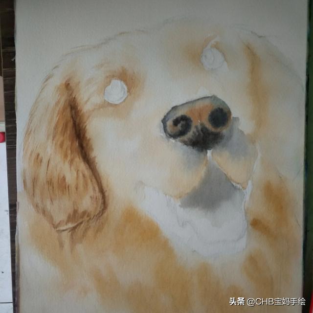 狗的笔顺（篝的笔顺，用水彩笔画一只可爱的金毛狗（狗的笔划笔顺）