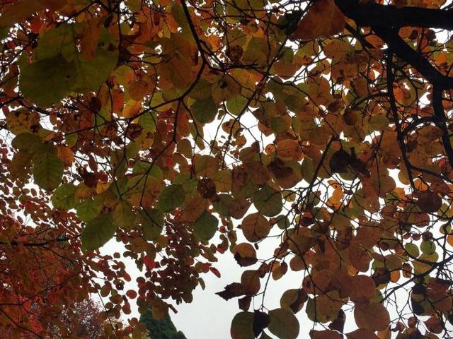 无锡自驾游，无锡自驾游一日游攻略（浙江无锡周边短途自驾游景点攻略推荐）