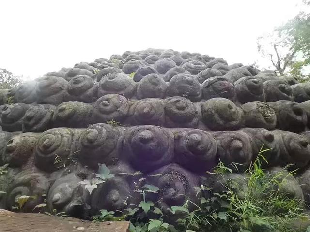 乐山大佛在哪，乐山大佛在哪里哪个省哪个市（四川乐山大佛）