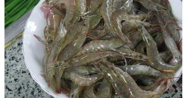 农村常见的10种野生食物，图6名字容易被误会
