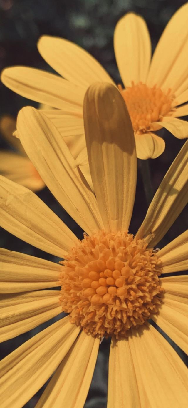 扎心背景图片。，微信扎心背景图（凌晨的故事最扎心）