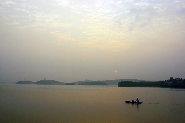 螺蛳青市场价多少钱一斤，50斤螺蛳青一般多少钱（武汉木兰湖140斤的“青鱼王”被捞起）