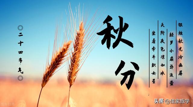 交节是什么意思，交节是什么意思啊（了解中国博大精深又务实的传统文化）