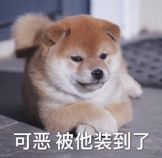 靓怎么组词，靓丽的靓怎么组词（这份常用小词典）