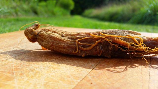 买红参怎么挑选 红参怎么保存最好，买红参怎么挑选（长辈滋补最佳红参怎么挑）