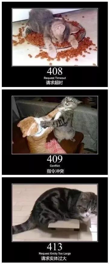 404，404、405这些错误指令你知道是什么意思吗