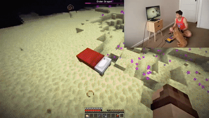 我的世界狗怎么驯服，网友教自家狗子玩《我的世界》