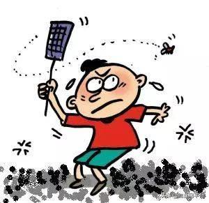 灭苍蝇的最快方法，怎么灭苍蝇最快（灭苍蝇的有效方法是什么）