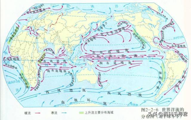 企鹅是哺乳动物吗，企鹅是哺乳动物吗?怎么喂奶（这里生活着全球最多的食肉哺乳动物）